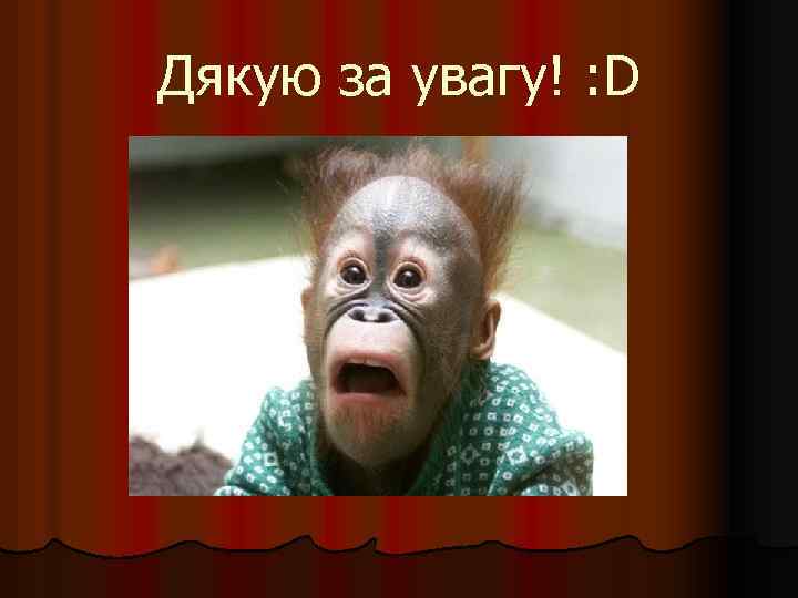 Дякую за увагу! : D 