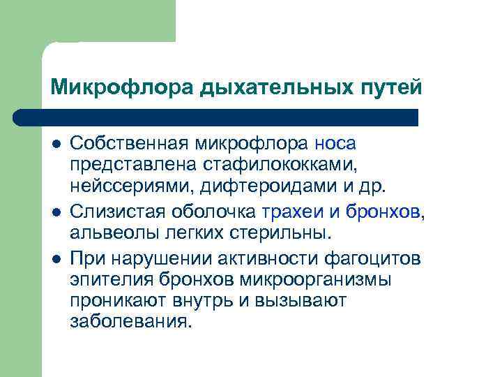 Микрофлора дыхательных путей l l l Собственная микрофлора носа представлена стафилококками, нейссериями, дифтероидами и