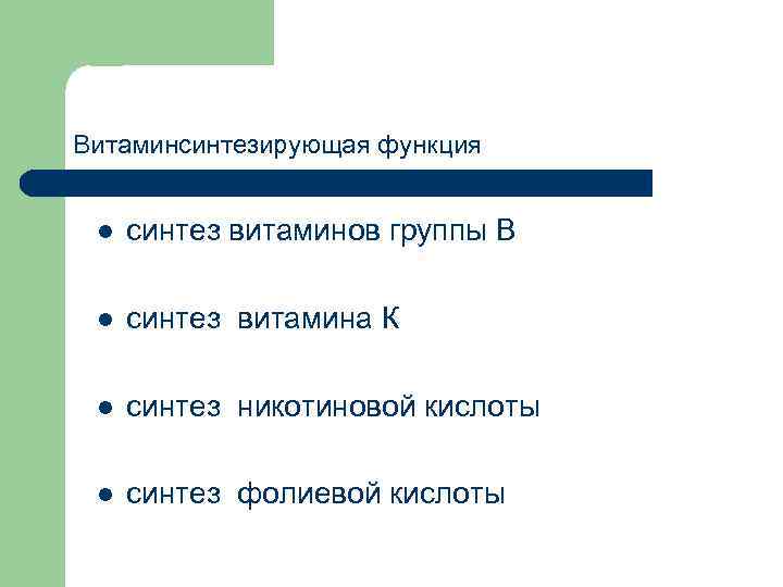 Витаминсинтезирующая функция l синтез витаминов группы В l синтез витамина К l синтез никотиновой