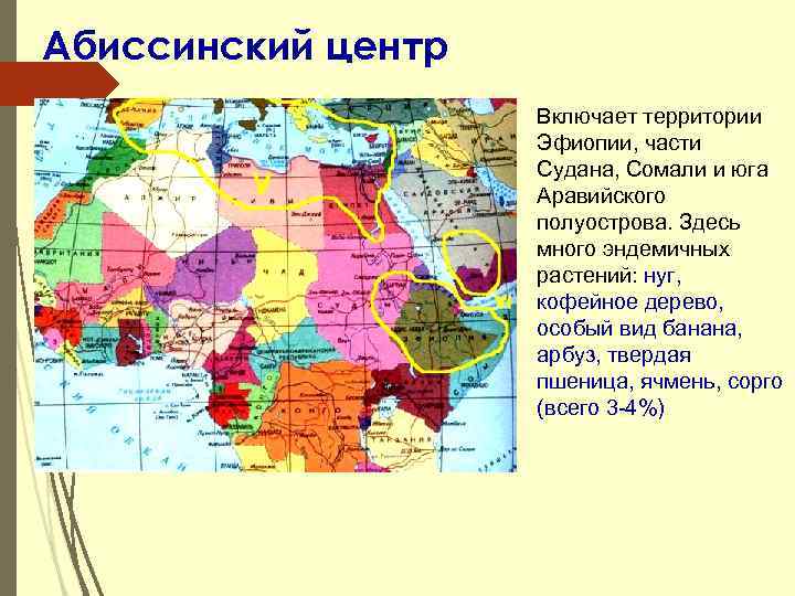 Абиссинский центр Включает территории Эфиопии, части Судана, Сомали и юга Аравийского полуострова. Здесь много