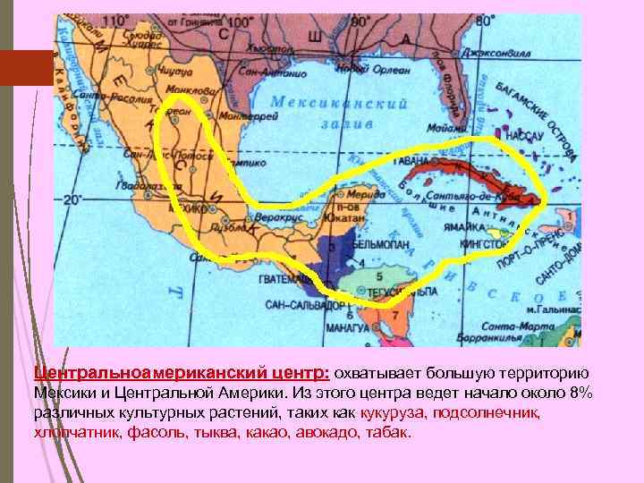 Центральноамериканский центр: охватывает большую территорию Мексики и Центральной Америки. Из этого центра ведет начало