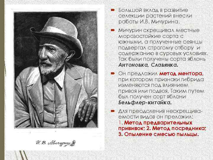  Большой вклад в развитие селекции растений внесли работы И. В. Мичурина. Мичурин скрещивал
