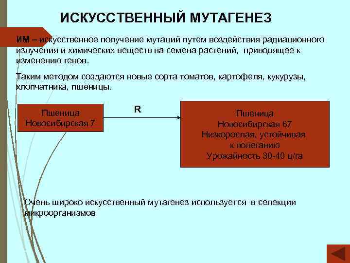 Искусственный мутагенез картинки