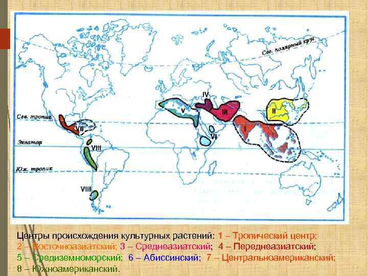 Центры происхождения культурных растений: 1 – Тропический центр; 2 – Восточноазиатский; 3 – Среднеазиатский;