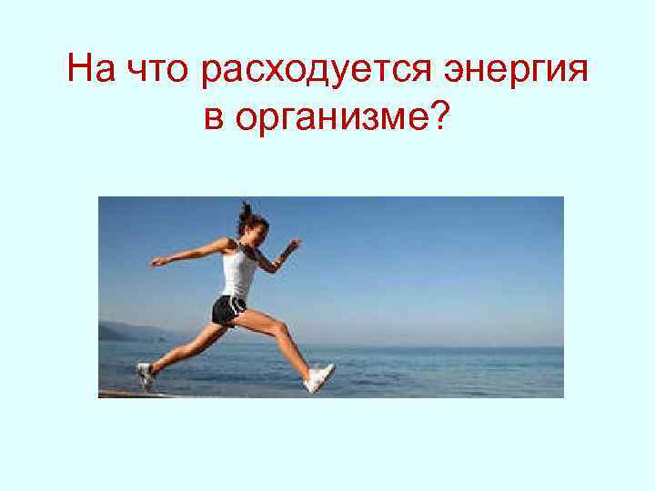 На что расходуется энергия в организме? 