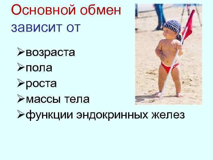 Основной обмен зависит от Øвозраста Øпола Øроста Øмассы тела Øфункции эндокринных желез 