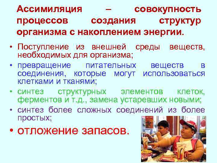 Ассимиляция – совокупность процессов создания структур организма с накоплением энергии. • Поступление из внешней