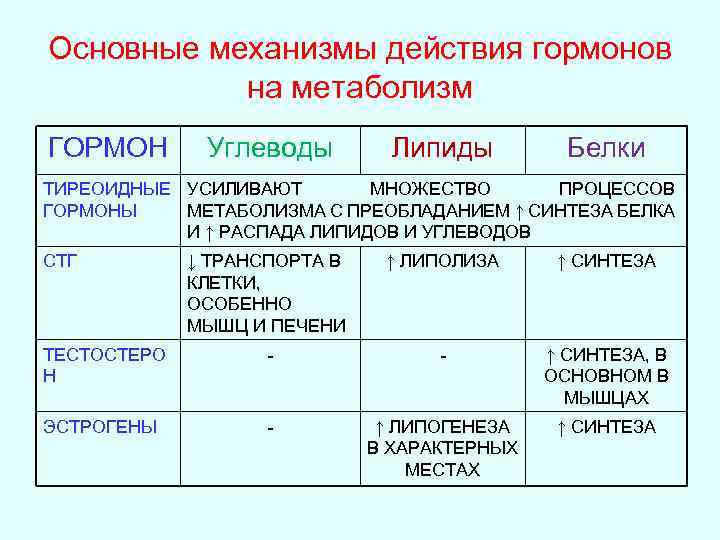 Основные механизмы действия гормонов на метаболизм ГОРМОН Углеводы Липиды Белки ТИРЕОИДНЫЕ УСИЛИВАЮТ МНОЖЕСТВО ПРОЦЕССОВ