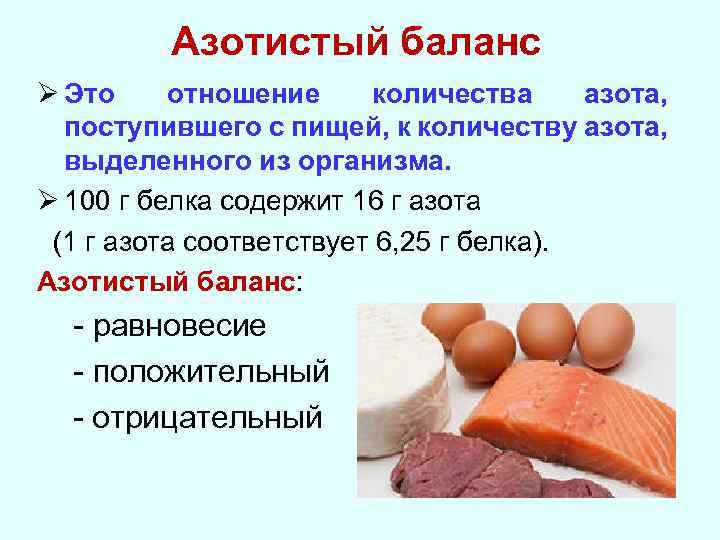 Азотистый баланс Ø Это отношение количества азота, поступившего с пищей, к количеству азота, выделенного