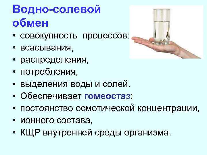 Водно-солевой обмен • • • совокупность процессов: всасывания, распределения, потребления, выделения воды и солей.