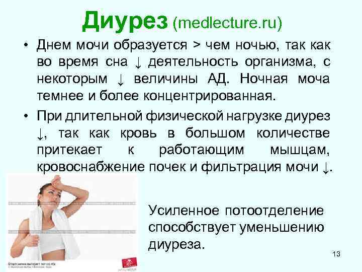 Диурез (medlecture. ru) • Днем мочи образуется > чем ночью, так как во время