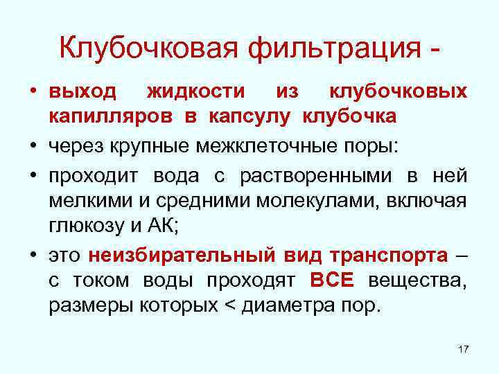 Клубочковая фильтрация • выход жидкости из клубочковых капилляров в капсулу клубочка • через крупные