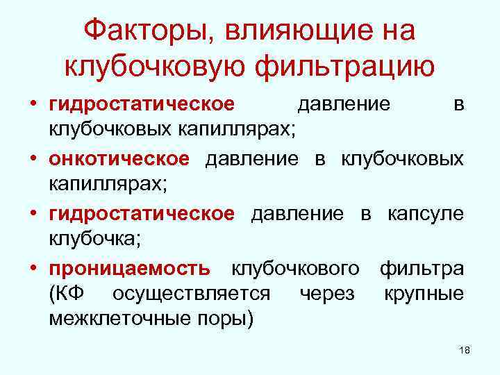 Факторы, влияющие на клубочковую фильтрацию • гидростатическое давление в клубочковых капиллярах; • онкотическое давление