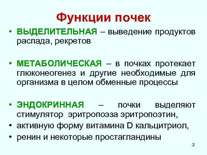 Функции почек • ВЫДЕЛИТЕЛЬНАЯ – выведение продуктов распада, рекретов • МЕТАБОЛИЧЕСКАЯ – в почках