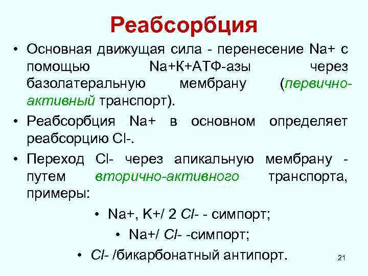 Реабсорбция • Основная движущая сила - перенесение Na+ с помощью Na+К+АТФ-азы через базолатеральную мембрану