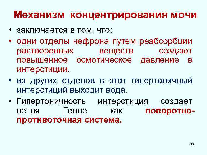 Механизм концентрирования мочи • заключается в том, что: • одни отделы нефрона путем реабсорбции