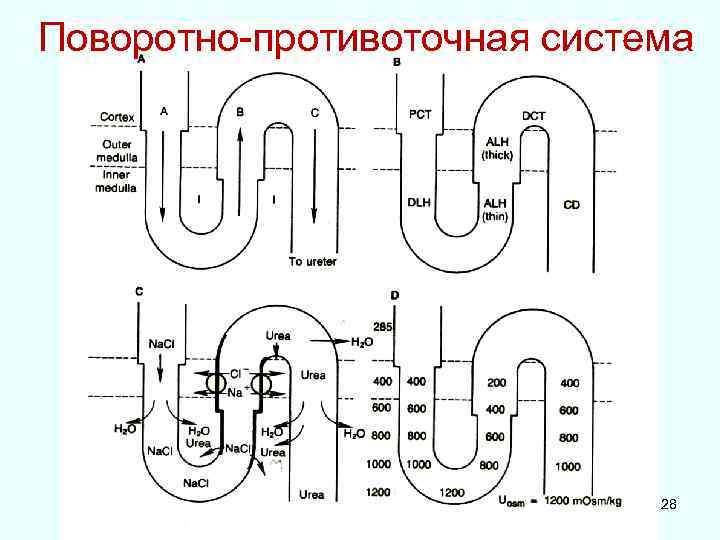 Поворотно-противоточная система 28 