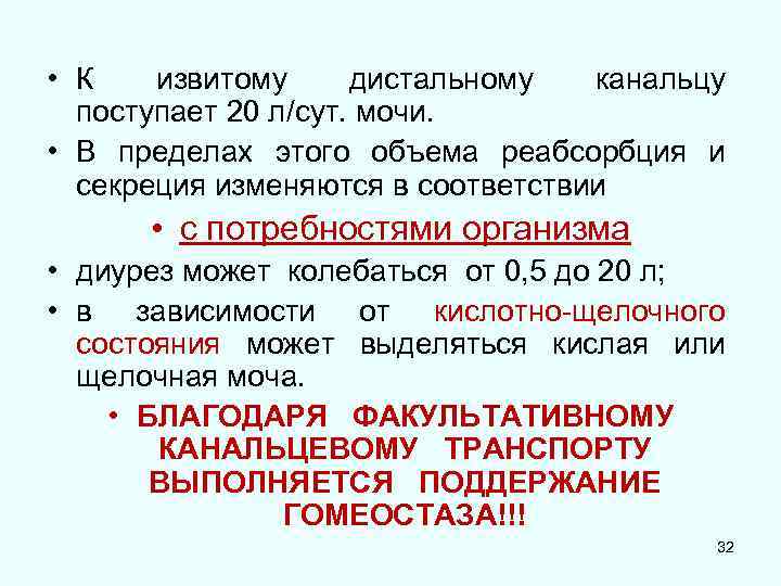  • К извитому дистальному канальцу поступает 20 л/сут. мочи. • В пределах этого