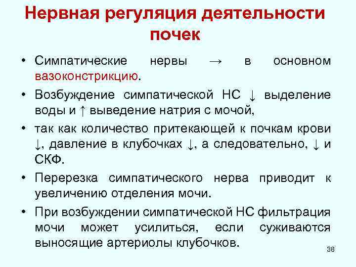 Нервная регуляция деятельности почек • Симпатические нервы → в основном вазоконстрикцию. • Возбуждение симпатической