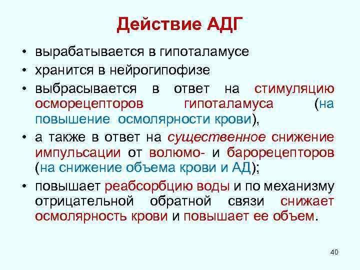 Действие АДГ • вырабатывается в гипоталамусе • хранится в нейрогипофизе • выбрасывается в ответ