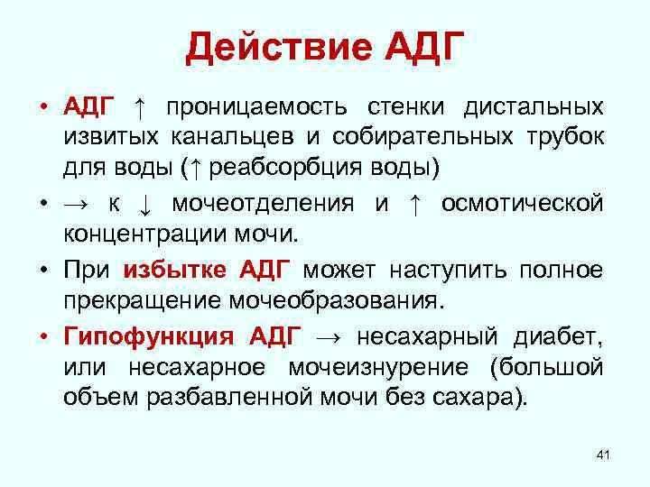 Действие АДГ • АДГ ↑ проницаемость стенки дистальных извитых канальцев и собирательных трубок для