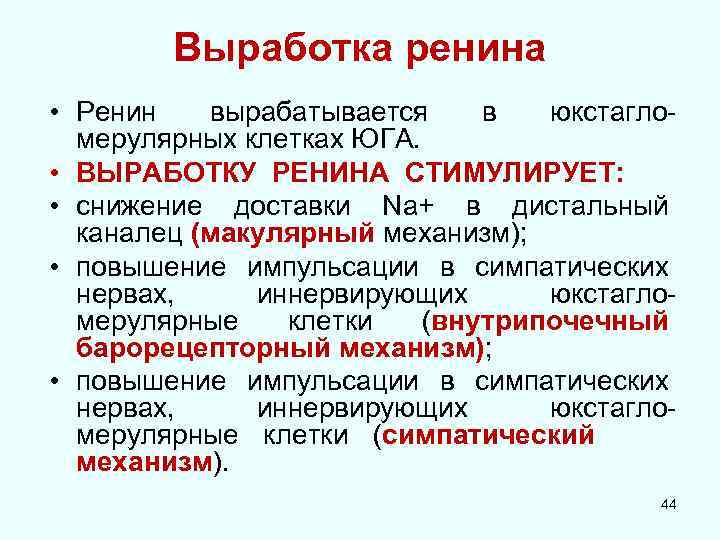 Выработка ренина • Ренин вырабатывается в юкстагломерулярных клетках ЮГА. • ВЫРАБОТКУ РЕНИНА СТИМУЛИРУЕТ: •