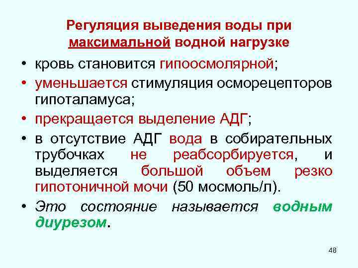 Регуляция выведения воды при максимальной водной нагрузке • кровь становится гипоосмолярной; • уменьшается стимуляция