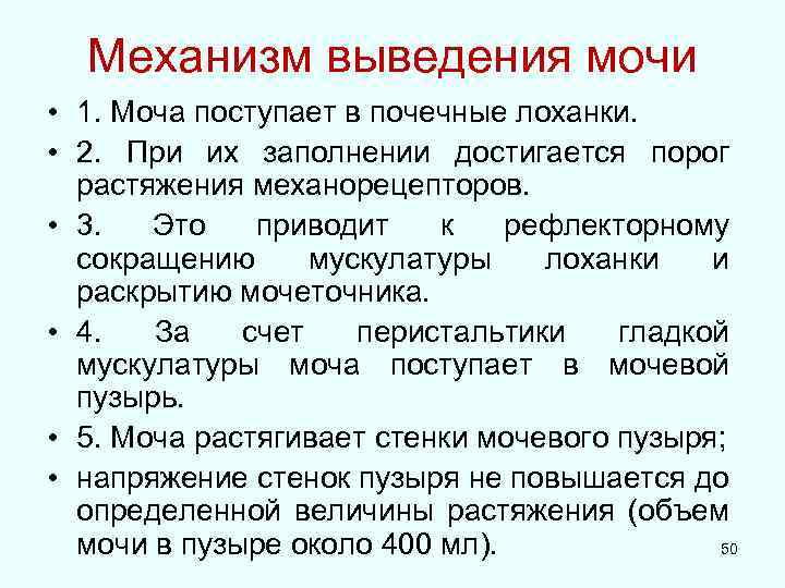 Механизм выведения мочи • 1. Моча поступает в почечные лоханки. • 2. При их