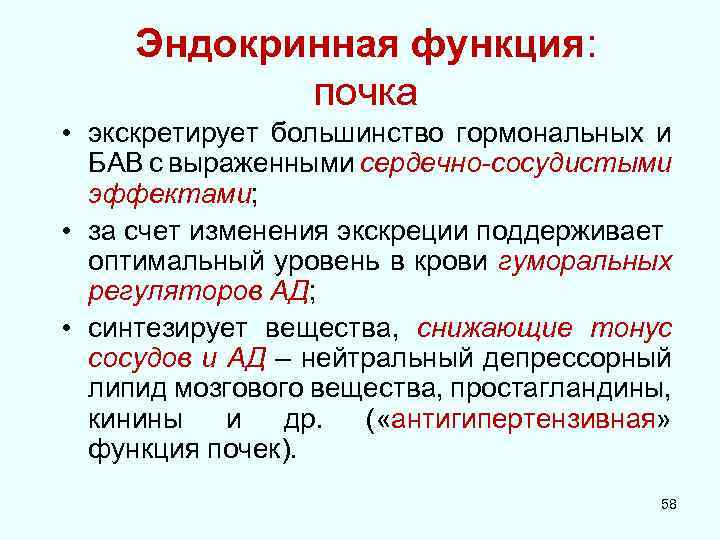 Эндокринная функция: почка • экскретирует большинство гормональных и БАВ с выраженными сердечно-сосудистыми эффектами; •