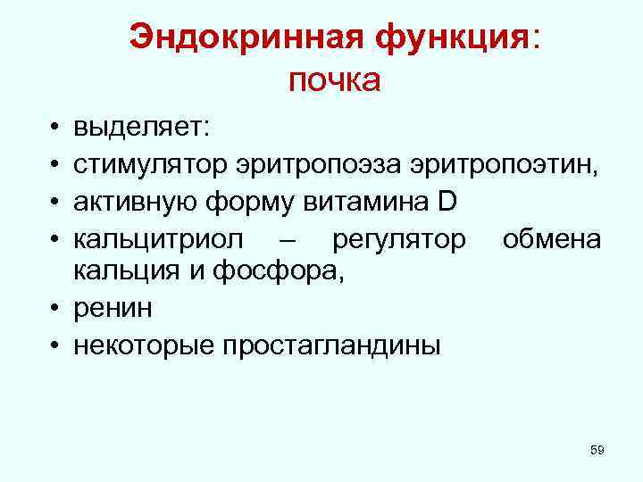 Эндокринная функция: почка • • выделяет: стимулятор эритропоэза эритропоэтин, активную форму витамина D кальцитриол