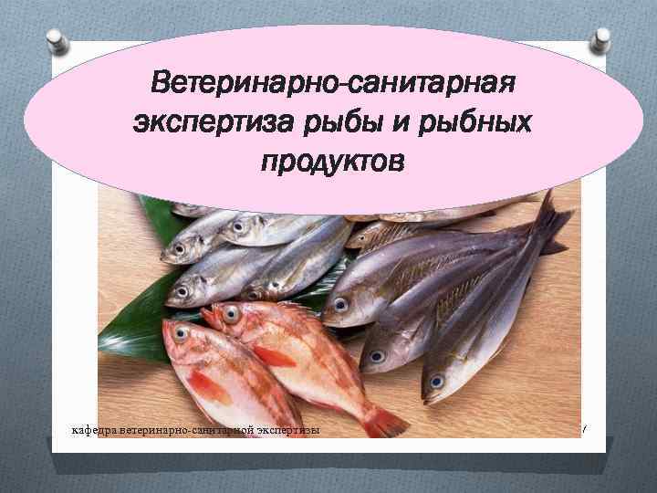 Оценка качества рыбы. Ветеринарно-санитарная экспертиза рыбы. Ветеринарно-санитарная экспертиза рыбы и рыбных продуктов. Санитарная оценка рыбы.