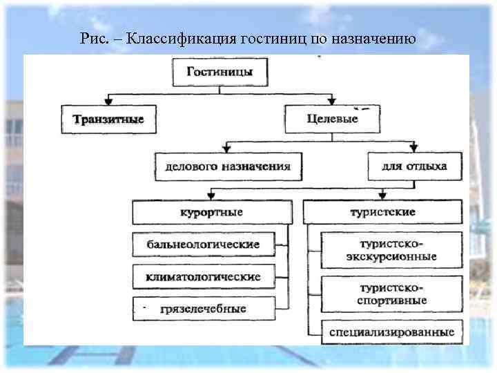 Классификация размещения