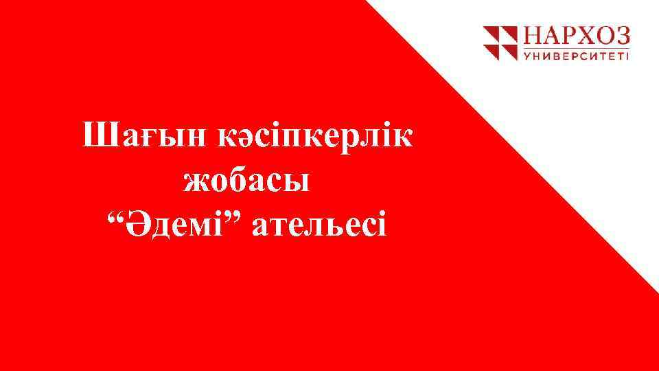 Шағын кәсіпкерлік жобасы “Әдемі” ательесі 