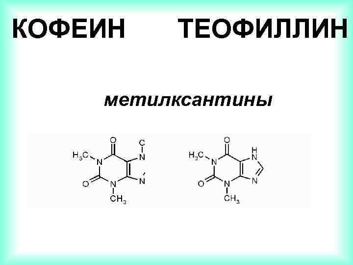 КОФЕИН ТЕОФИЛЛИН метилксантины 