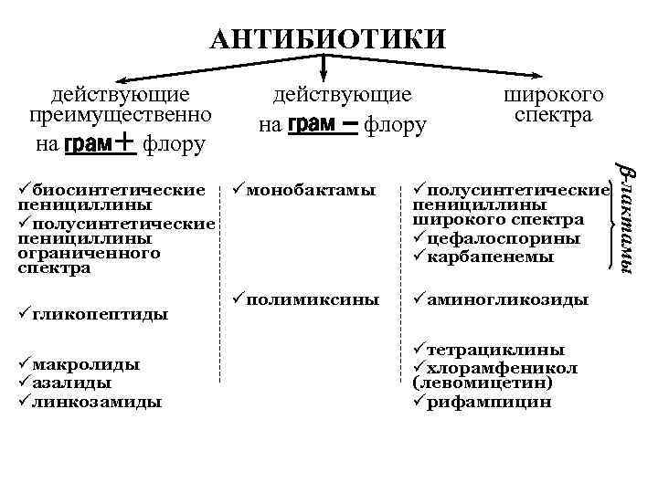 Когда начинает действовать антибиотик