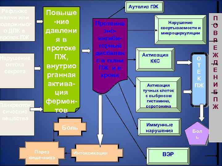 Рефлюкс желчи или содержимог о ДПК в проток ПЖ Нарушение оттока секрета Панкреоток сические