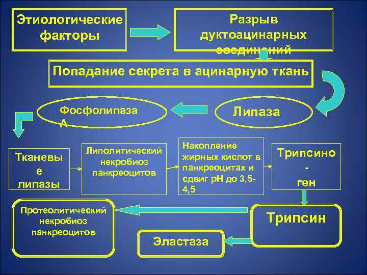 Разрыв дуктоацинарных соединений Этиологические факторы Попадание секрета в ацинарную ткань Фосфолипаза А Тканевы е