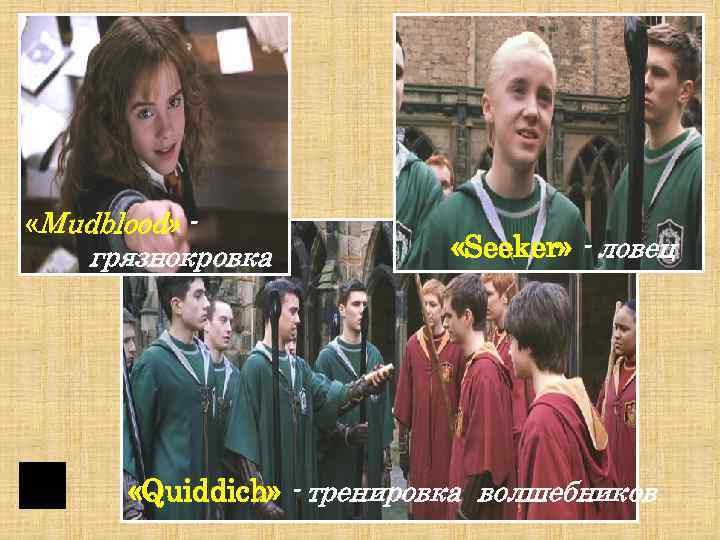 «Mudblood» - грязнокровка «Seeker» - ловец «Quiddich» - тренировка волшебников 