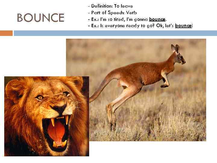 BOUNCE - Definition: To leave - Part of Speech: Verb - Ex. : I’m