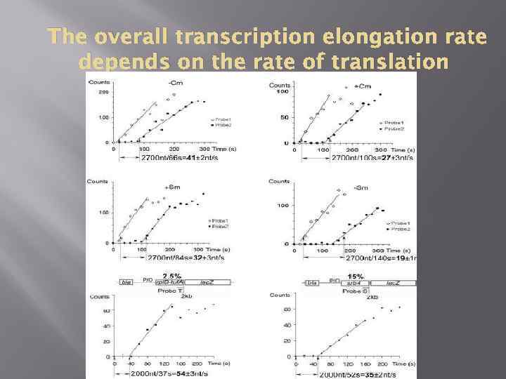 The overall transcription elongation rate depends on the rate of translation 