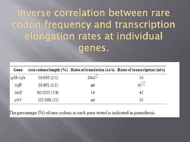 Inverse correlation between rare codon frequency and transcription elongation rates at individual genes. 