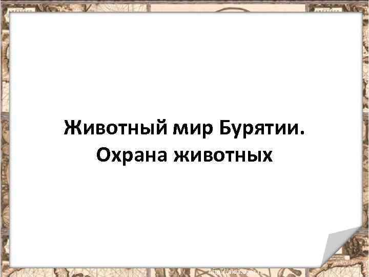 Животный мир Бурятии. Охрана животных 1 