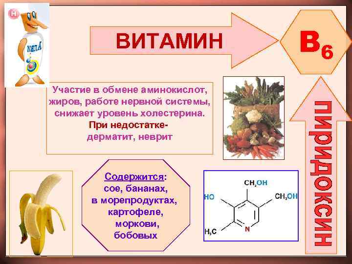 ВИТАМИН Участие в обмене аминокислот, жиров, работе нервной системы, снижает уровень холестерина. При недостаткедерматит,