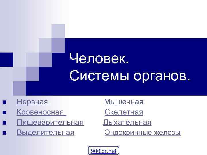 Человек. Системы органов. n n Нервная Мышечная Кровеносная Скелетная Пищеварительная Дыхательная Выделительная Эндокринные железы