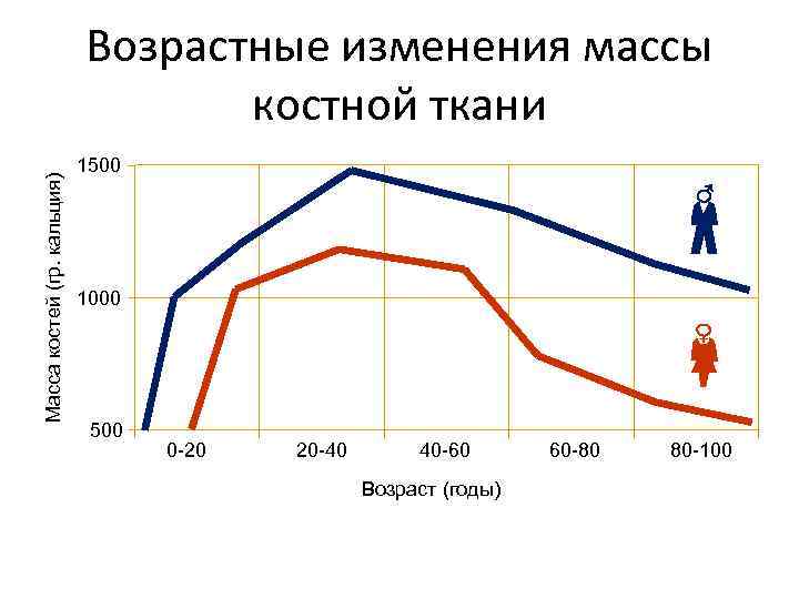 Масса костей (гр. кальция) Возрастные изменения массы костной ткани 1500 1000 500 0 -20