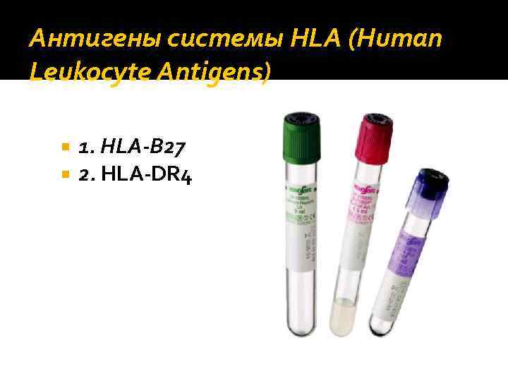 Антигены системы HLA (Human Leukocyte Antigens) 1. HLA‐B 27 2. HLA‐DR 4 