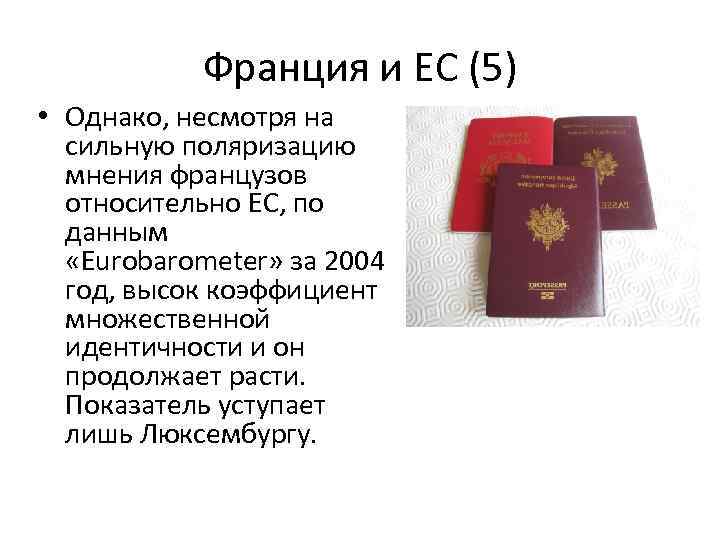Франция и ЕС (5) • Однако, несмотря на сильную поляризацию мнения французов относительно ЕС,