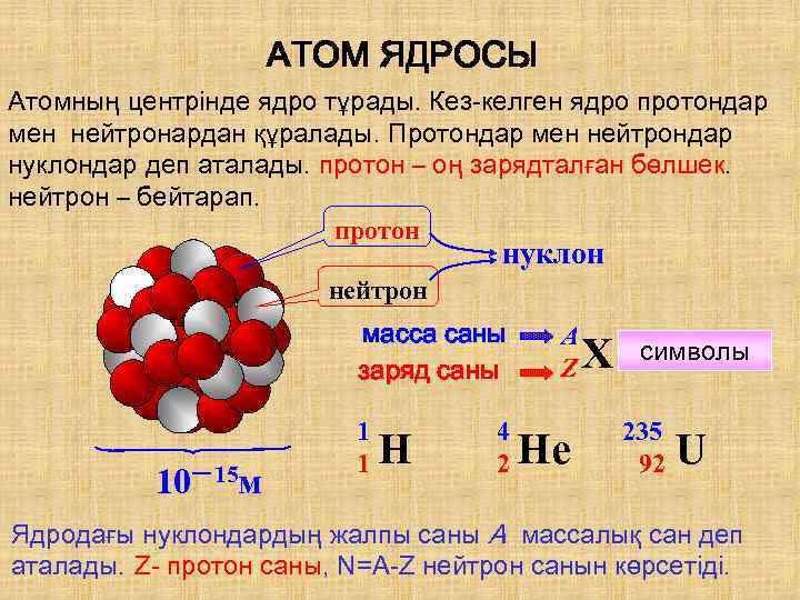 АТОМ ЯДРОСЫ Атомның центрінде ядро тұрады. Кез-келген ядро протондар мен нейтронардан құралады. Протондар мен