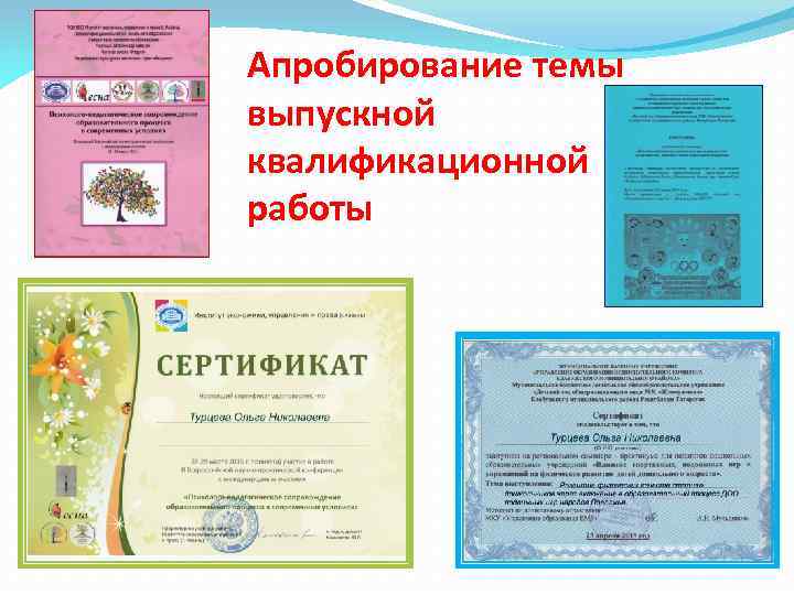 Апробирование темы выпускной квалификационной работы 