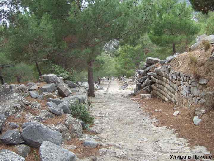 Улица в Приене 